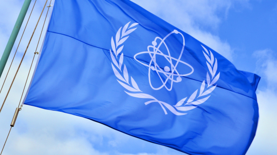 Update 43 – IAEA Director General Statement on Situation in Ukraine